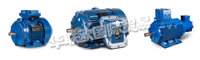 Regal的商業(yè)組織與CEMP?Srl一起，通過遍布許多國家的代理商，