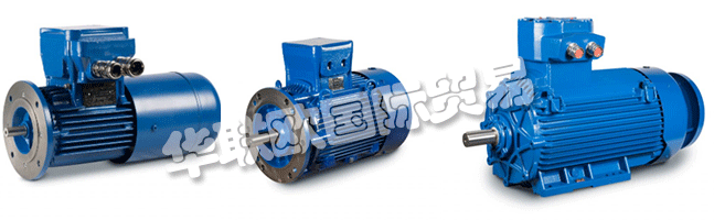 Regal成立于1954年，擁有CEMP?Srl，是意大利首批生產(chǎn)防爆防爆電機的公司之一。