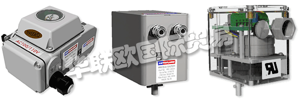 因此被視為AUTOFLAME公司和質(zhì)量管理體系的主要目標。