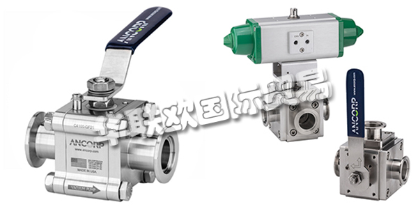 美國ANCORP公司主要供應(yīng)：美國ANCORP閥門,ANCORP過濾器，真空閥，疏水閥，真空球閥，二通球閥，三通球閥，高電導(dǎo)球閥，顆粒分離器，螺栓，螺母，固定環(huán)，夾具等產(chǎn)品。
