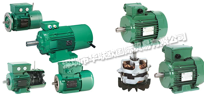 法國利萊森瑪LEROY-SOMER電機(jī)/電動(dòng)機(jī)產(chǎn)品詳情